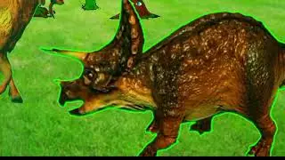 no copyright, Green screen video