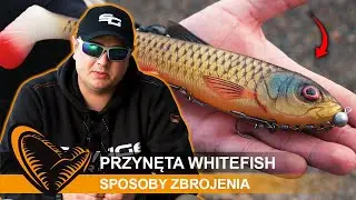 Jak poprawnie uzbroić SZCZUPAKOWĄ gumę WHITEFISH ?