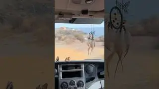 The best park-up ever