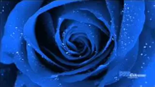 Il nome della rosa Umberto Eco parte 8 audiolibro