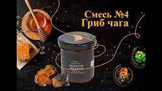 Смесь №4 ГРИБ ЧАГА