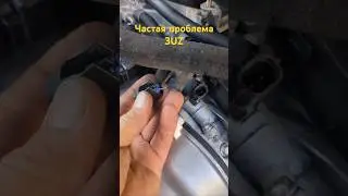 A common 3UZ problem. Tips.