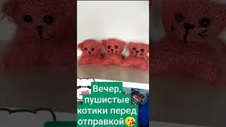 Вечер, пушистые котики связаны