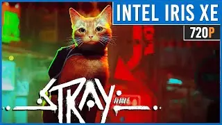 Stray - Intel Iris Xe Graphics - 8 GB RAM - 720p