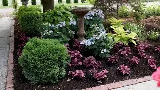 Companion Planting with Tuff Stuff Ah-Ha® Hydrangea | Proven Winners Garden Ideas