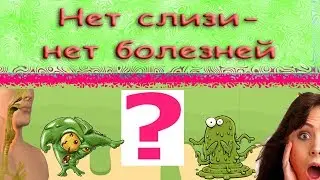 Нет слизи - нет болезней?