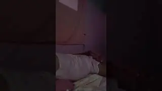 Silent LS