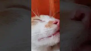 Bahagia Itu Sederhana...