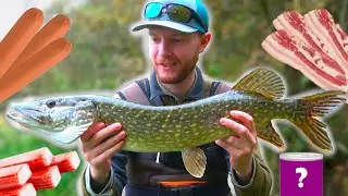 Do Pike Eat Hotdogs?! Crazy Baits Fishing CHALLANGE