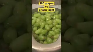 300 grapes Vs prison toilet - Will it Flush?