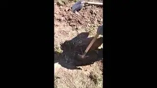 Копка траншеи для сигнализации. Всё секретно)))