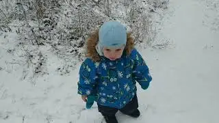Pigeons#Голуби и первый снег)