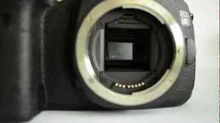Canon EOS 60D continuous shooting (5.3 fps)