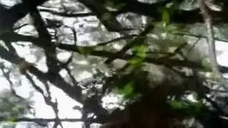 ZGOBEČENA SHAGOMA - Utapia (music clip)