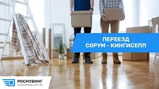 Переезд из г. Сорум в г. Кингисепп