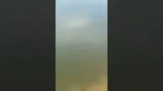 Супер РЫБАЛКА... В АЛМАТЫ!!! ТРОФЕЙ