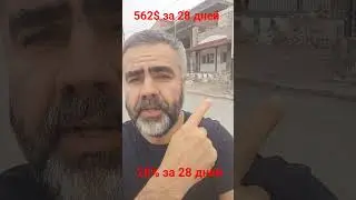 Path to Success Day 28
