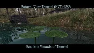 SkyrimSE | NVT ENB & NAT |  Realistic Visuals of Skyrim