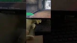 Пацаны, не виноватая я 😀