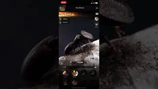 T10 speed up preparation