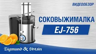 Соковыжималка Zigmund & Shtain EJ-756
