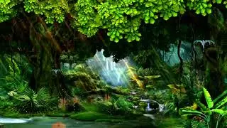 beautiful garden green screen