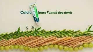 Himalaya Anti Cavity Herbal Toothpaste