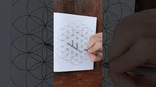 Pattern based on flower of life 💐 