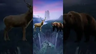 Animal fusions part 2