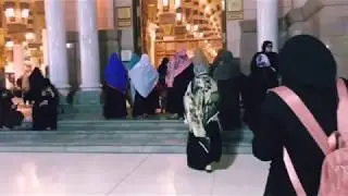 Peace Be Upon You Maher Zain (Madinah) - Aina Syamimi