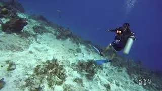 Punta Dalila 2 of 3