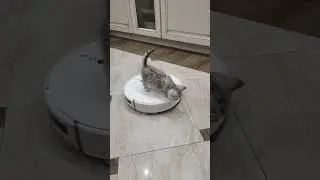 бесплатное такси довизи меня до дома 🏘️🏘️