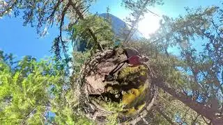 Diablo Lake Trail of North Cascades National Park, Seattle