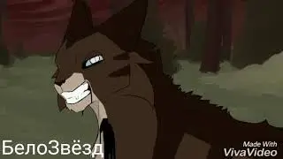 Сумрачный лес-Dark Forest[Коты Воители-Cats Warriors {Заказ:Закат КВ}(Beliеver)]