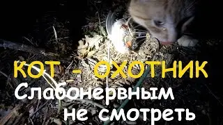 Кот охотник
