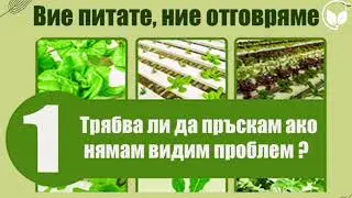 Кое да изберем превантивно пръскане или третиране след като се появят симптоми
