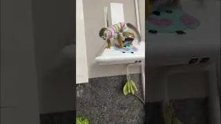 Девчачий костюмец)) 