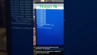 Napi и прототипы (mvp)