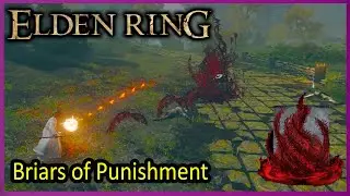 Briars of Punishment - Gameplay - Elden Ring