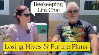 BEEKEEPING LIFE STRUGGLES, LOSS AND FUTURE PLANS