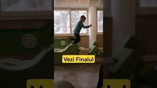 Obstacole