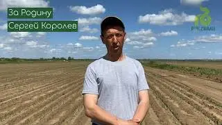 Матейко F1 - лук порей компании Райк Цваан