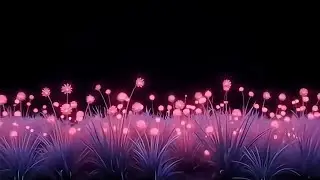 Flowery grass black screen effect | Black screen video effect flowers