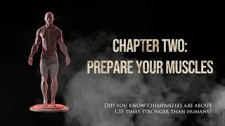 Blender's X-Muscle System Course Chapter 2 | Prepare Your Muscles