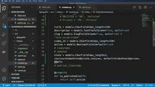 14 CharField Choices for Publishing Videos-Django Flix-Build a Netflix-Like Service in Django Python