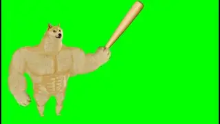 Doge Bonk Green Screen 4k/Ultra Hd || Bonking Doge Green Screen