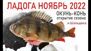 ЛАДОЖСКИЙ ОКУНЬ ЗИМОЙ