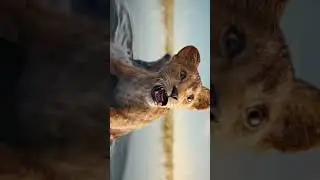 4k edit uzbmovies