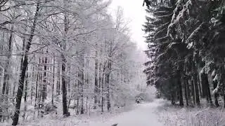 Virtual driving in the snow