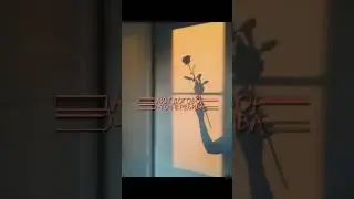 ♥️видео моё♥️